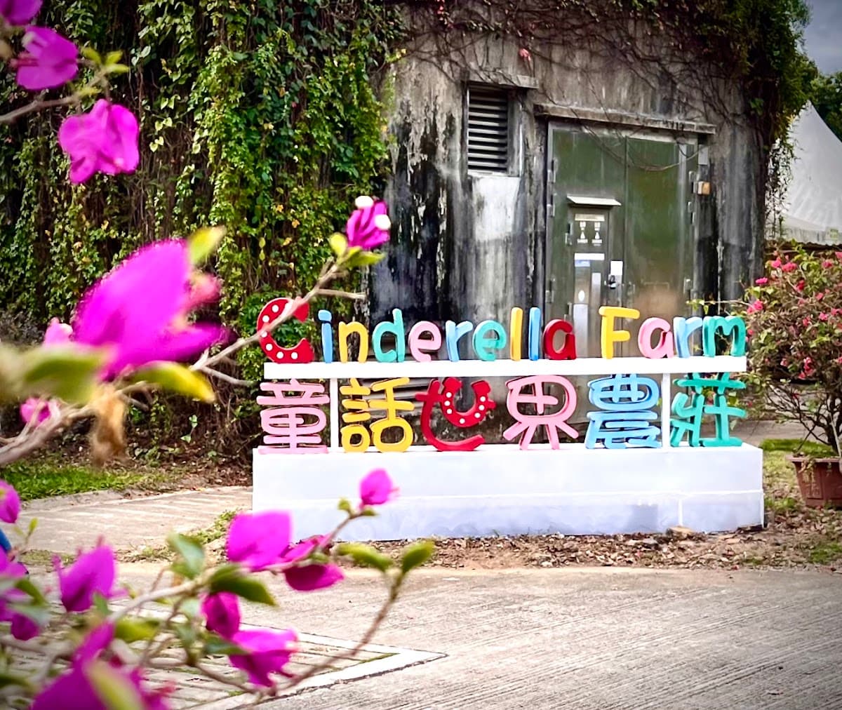蝶豆花園有機農莊